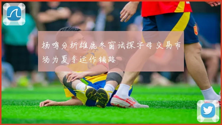 杨鸣分析雄鹿冬窗试探字母交易市场为夏季运作铺路